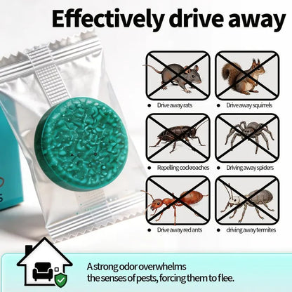 Get Rid of Rats & Mice