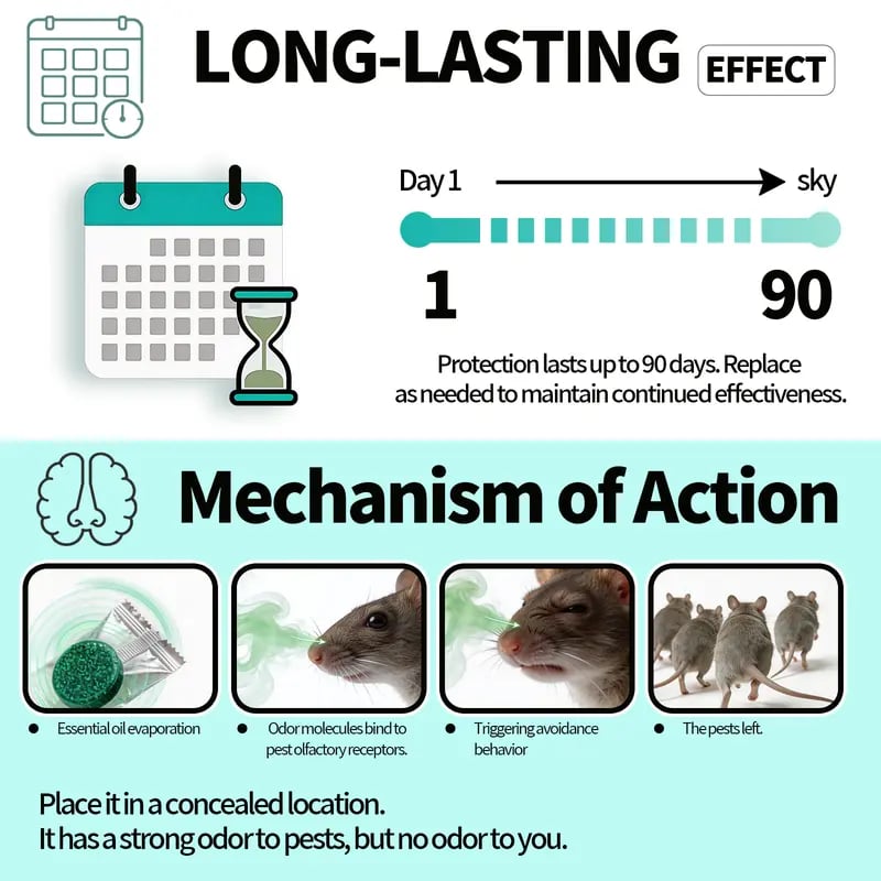 Get Rid of Rats & Mice