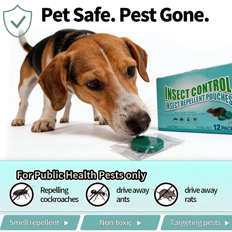 Get Rid of Rats & Mice
